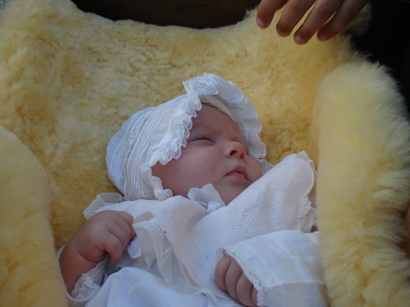 DSC02862.jpg